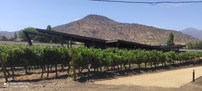 Bodega Experimental Viña Morandé